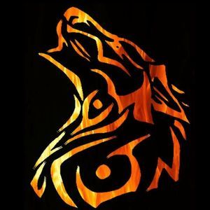 Meet your Posher, Miguel angel